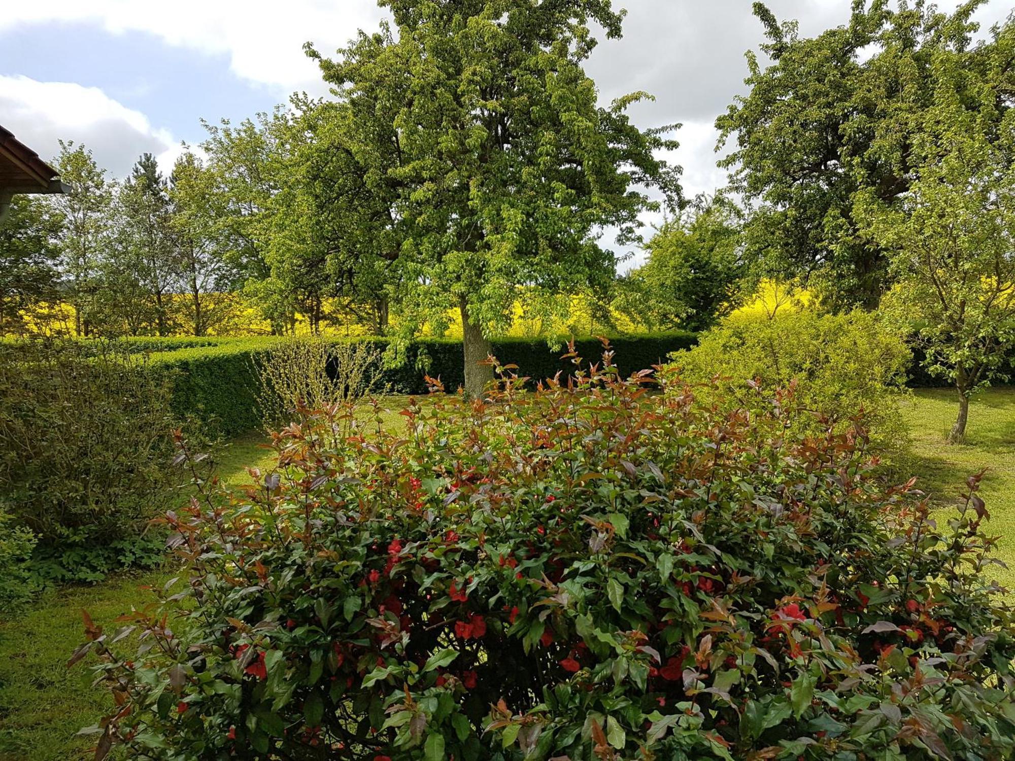 Ferienhaus Uckermark Casekow Buitenkant foto