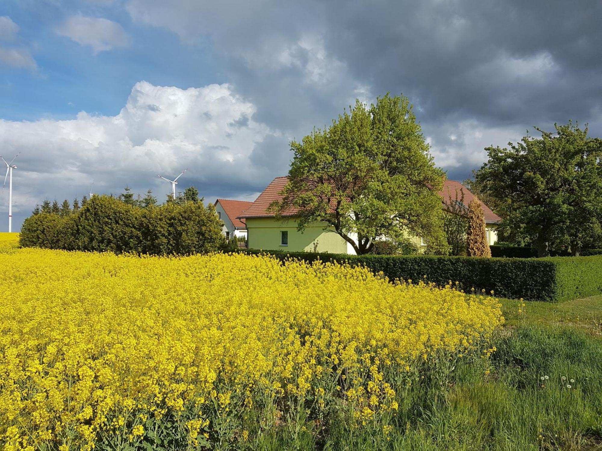 Ferienhaus Uckermark Casekow Buitenkant foto